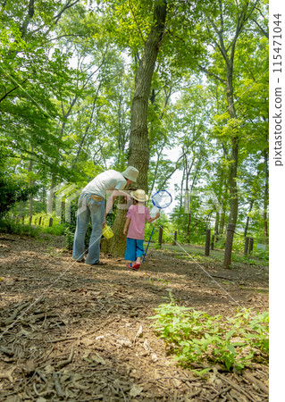 父子在林區尋找昆蟲的後視圖 父子在林區尋找昆蟲的後視圖 115471044