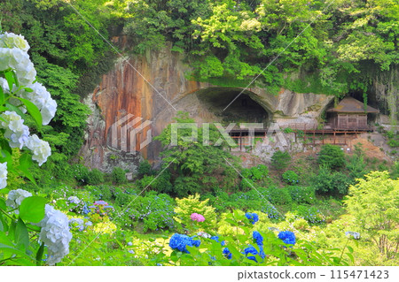 Fukoji Temple Cliff-carved Buddha and Hydrangeas (Bungo-Ono City) Fukoji Temple Cliff-carved Buddha and Hydrangeas (Bungo-Ono City) 115471423