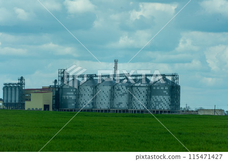 Granary elevator, silver silos on agro manufacturing plant for processing drying cleaning and storage of agricultural products, flour, cereals and grain. A field of green wheat. Granary elevator, silver silos on agro manufacturing plant for processing drying cleaning and storage of agricultural products, flour, cereals and grain. A field of green wheat. 115471427