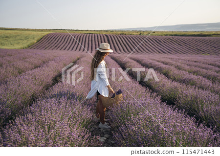 A woman is walking through a field of purple flowers. She is wearing a white shirt and a straw hat. A woman is walking through a field of purple flowers. She is wearing a white shirt and a straw hat. 115471443