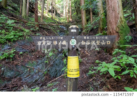 View of the mountain trail leading up to Mt. Bonoori from the Shirayazawa trailhead 115471597