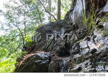 View of the mountain trail leading up to Mt. Bonoori from the Shirayazawa trailhead 115471600