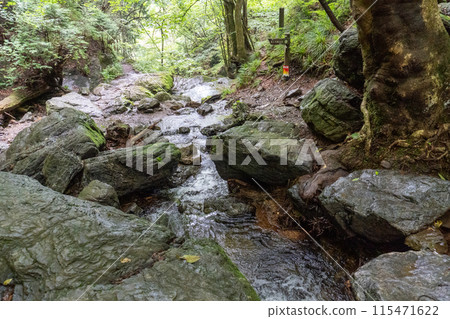 從白澤登山口眺望Bonooriyama 的山路 115471622