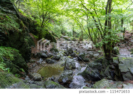 View of the mountain trail leading up to Mt. Bonoori from the Shirayazawa trailhead 115471653