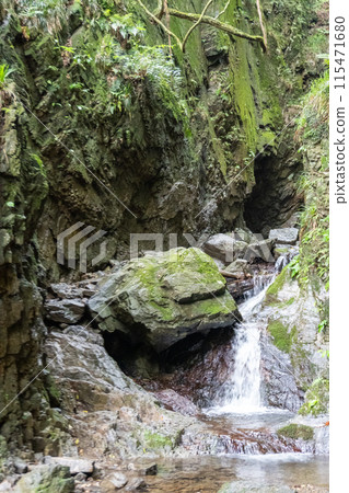 View of the mountain trail leading up to Mt. Bonoori from the Shirayazawa trailhead 115471680