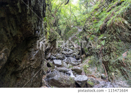View of the mountain trail leading up to Mt. Bonoori from the Shirayazawa trailhead 115471684