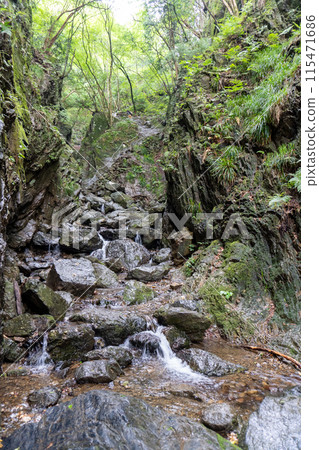 從白澤登山口眺望Bonooriyama 的山路 115471686