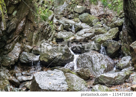 從白澤登山口眺望Bonooriyama 的山路 115471687