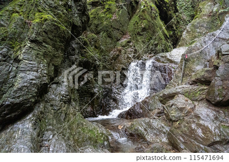 View of the mountain trail leading up to Mt. Bonoori from the Shirayazawa trailhead 115471694