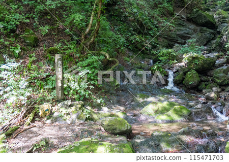 View of the mountain trail leading up to Mt. Bonoori from the Shirayazawa trailhead 115471703