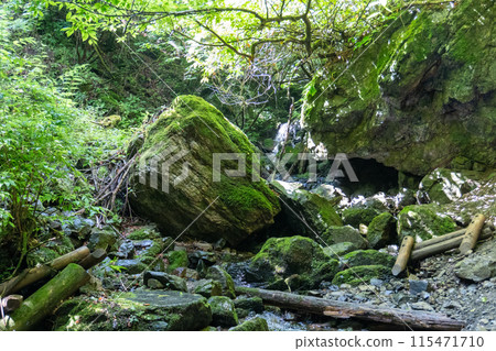 從白澤登山口眺望Bonooriyama 的山路 115471710