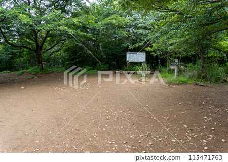 View of the mountain trail leading up to Mt. Bonoori from the Shirayazawa trailhead 115471763