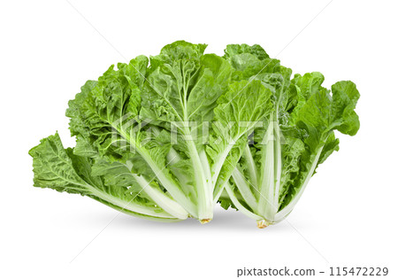 lettuce leaves on transparent png lettuce leaves on transparent png 115472229
