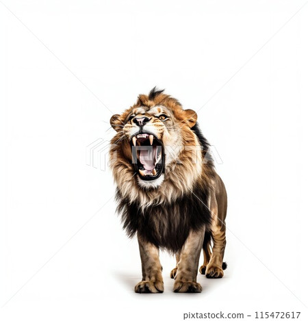 Majestic Lion Roaring Isolated on White. Generative ai 115472617
