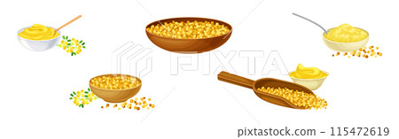 Mustard Plant with Seeds and Yellow Flower Vector Set 115472619