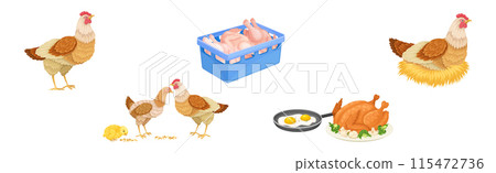 Chicken Meat Produce with Poultry Farm Food Vector Set 115472736