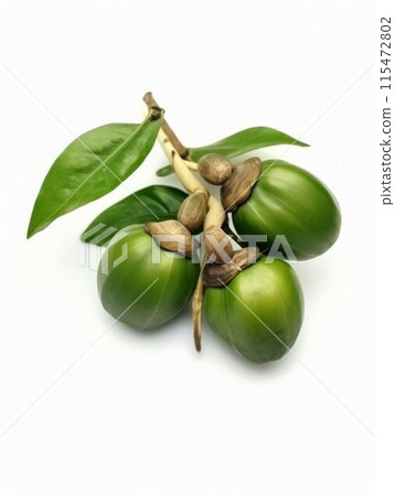 Fresh Betel Nuts and Leaves. Generative ai 115472802