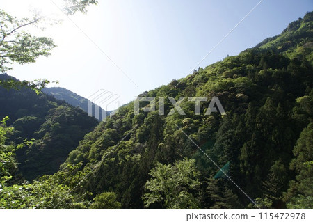 Kochi mountain scenery bathed in the evening sunlight 115472978