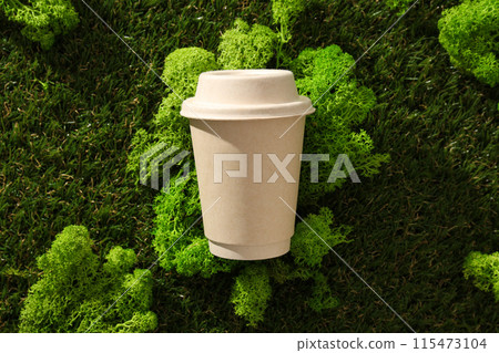 Ecological packaging for food delivery, on the grass. Ecological packaging for food delivery, on the grass. 115473104