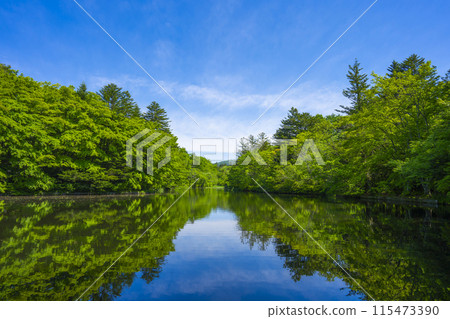 Kunisaki pond in Karuizawa 115473390