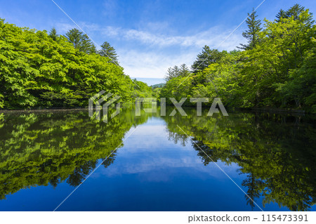 Kunisaki pond in Karuizawa 115473391