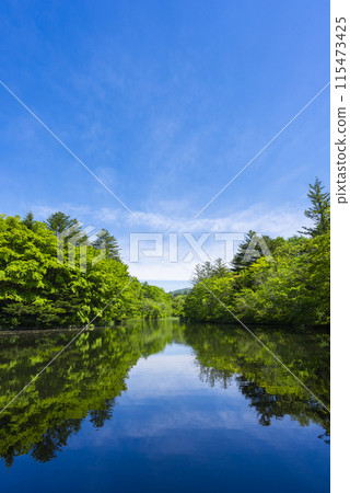 [Vertical photo] Kumoba Pond in Karuizawa 115473425