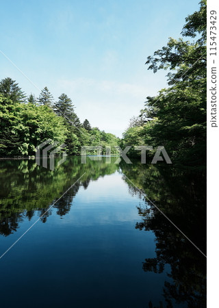 [Vertical photo] Kumoba Pond in Karuizawa 115473429