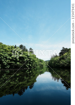 [縱向照片]輕井澤的雲場池 115473431