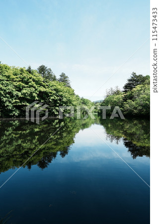 [Vertical photo] Kumoba Pond in Karuizawa 115473433