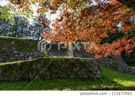 Iwamura Castle Nagatsukasa Buried Gate Remains Iwamura Castle Nagatsukasa Buried Gate Remains 115473563