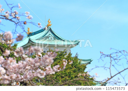 愛知縣名古屋市櫻花盛開和名古屋城的景色 115473573
