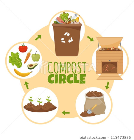 Compost life circle infographic. Organic waste conversion to fertilizers. Soil humusing. Seedlings growing. Vegetable peelings. Garbage recycle phase diagram. Recent vector concept 115473886