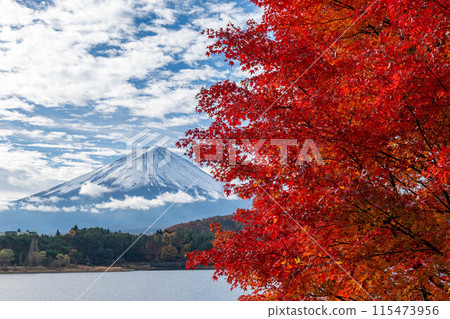 Fuji and autumn leaves 115473956