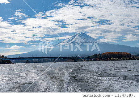 Mt.Fuji from Lake Kawaguchi 115473973