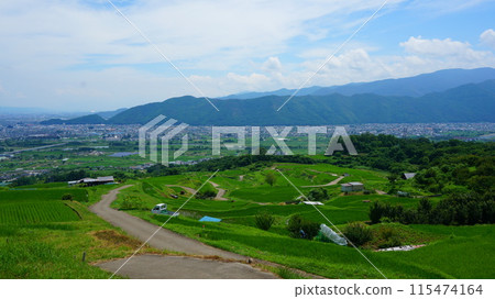 Abandoned rice terrace Abandoned rice terrace 115474164