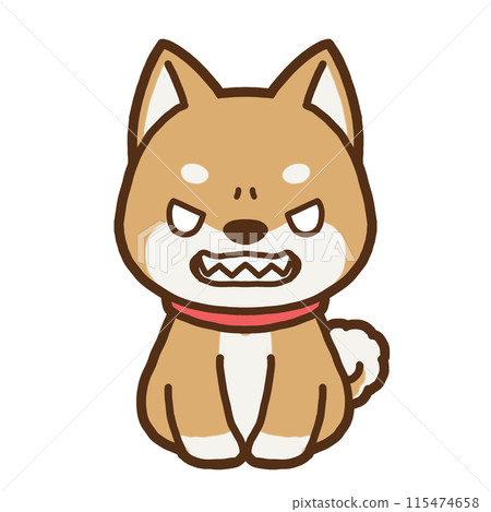 憤怒的柴犬面向前方的插圖 憤怒的柴犬面向前方的插圖 115474658