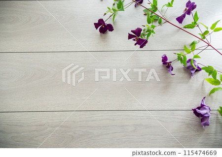 branch of blooming purple clematis, on a light wooden table branch of blooming purple clematis, on a light wooden table 115474669