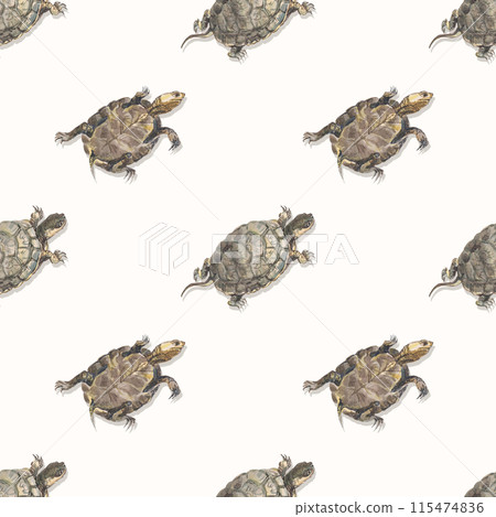 Watercolor seamless pattern on white background with turtles. 115474836