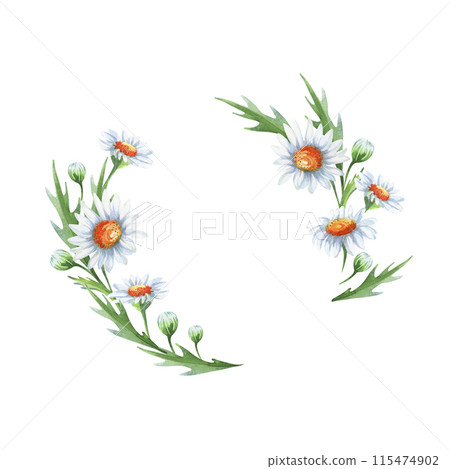 Watercolor floral wreath with chamomile flowers, leaves and buds. Watercolor floral wreath with chamomile flowers, leaves and buds. 115474902