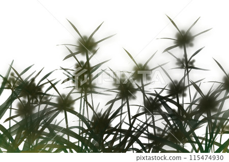 香附剪影卡 香附剪影卡 115474930