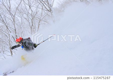 野外滑雪 115475287