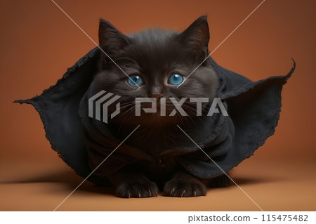 cute black kitten in a mantle, isolated on an orange background 115475482