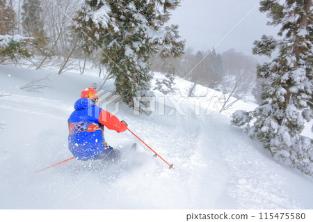 野外滑雪 野外滑雪 115475580