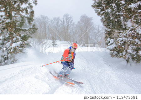 野外滑雪 115475581