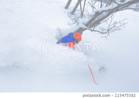 野外滑雪 野外滑雪 115475582