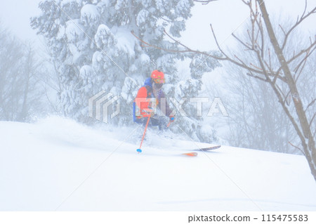 野外滑雪 115475583