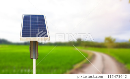 Solar panels installed along the roadside, powering street lights for nighttime illumination Solar panels installed along the roadside, powering street lights for nighttime illumination 115475642