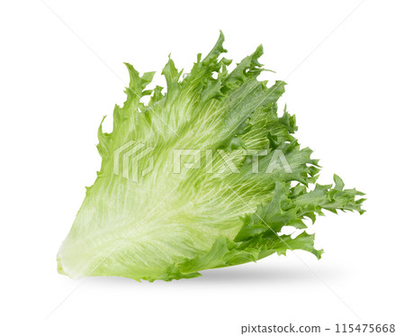 fresh Frillice Iceberg Lettuce on white background 115475668