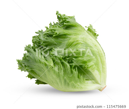 Frillice Iceberg Lettuce on white background 115475669