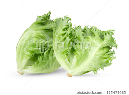 fresh Frillice Iceberg Lettuce on white background fresh Frillice Iceberg Lettuce on white background 115475685